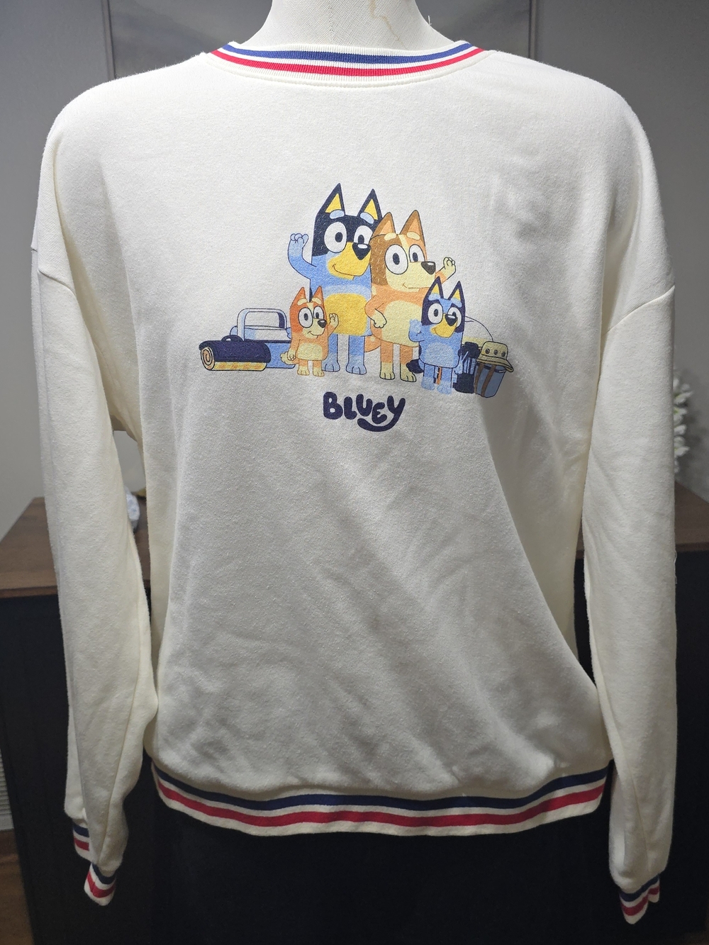 Bluey Family Graphic Cream Sweatshirt Size L